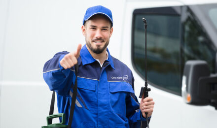 Commercial Pest Control Services in Maryland
