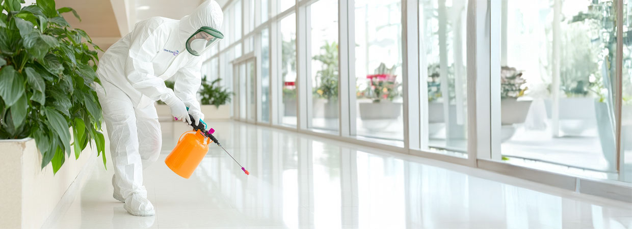 Pest Control Services in Maryland